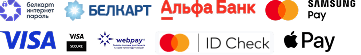 Payment Systems